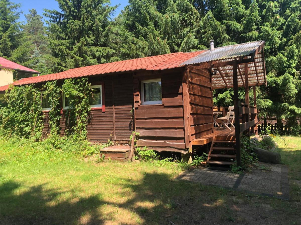 Gosciniec Pod Debem Villa Wilimy Exterior photo